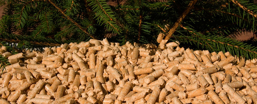 Premium softwood pellets - Malyn furniture factory